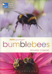 COMONT, RICHARD - Bumblebees
